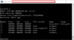 Partition table of new GPT disk